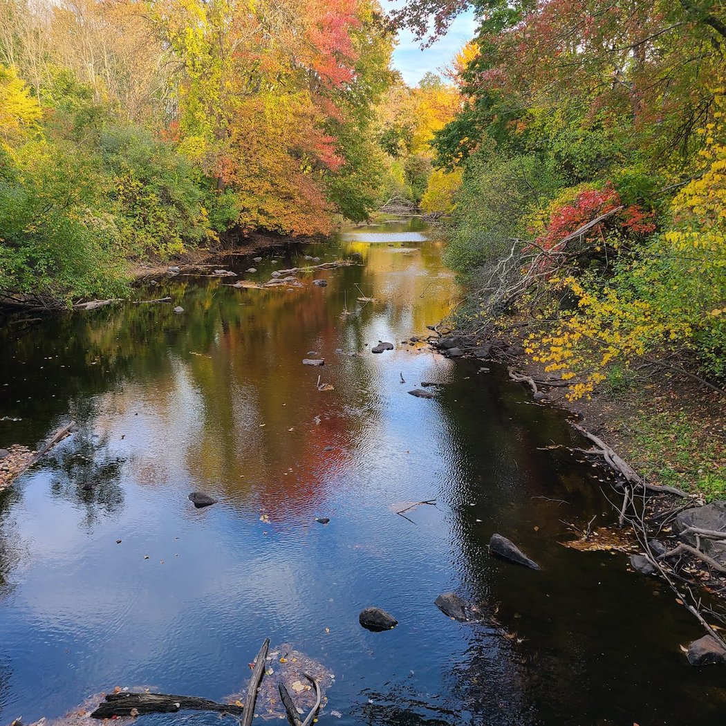 Beaver Brook Market 2